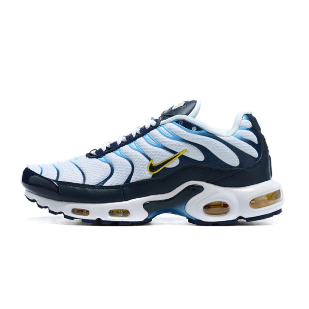 Air Max Plus TN 1 “Chargers”
