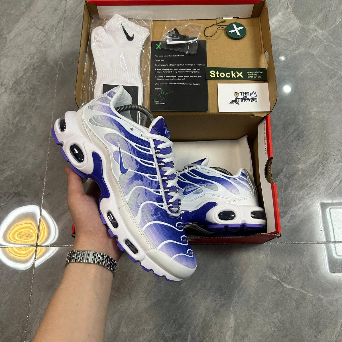 Air Max TN Plus "Purple Dragon"