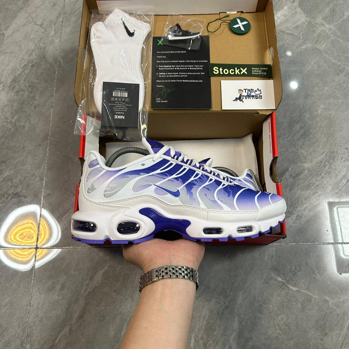 Air Max TN Plus "Purple Dragon"