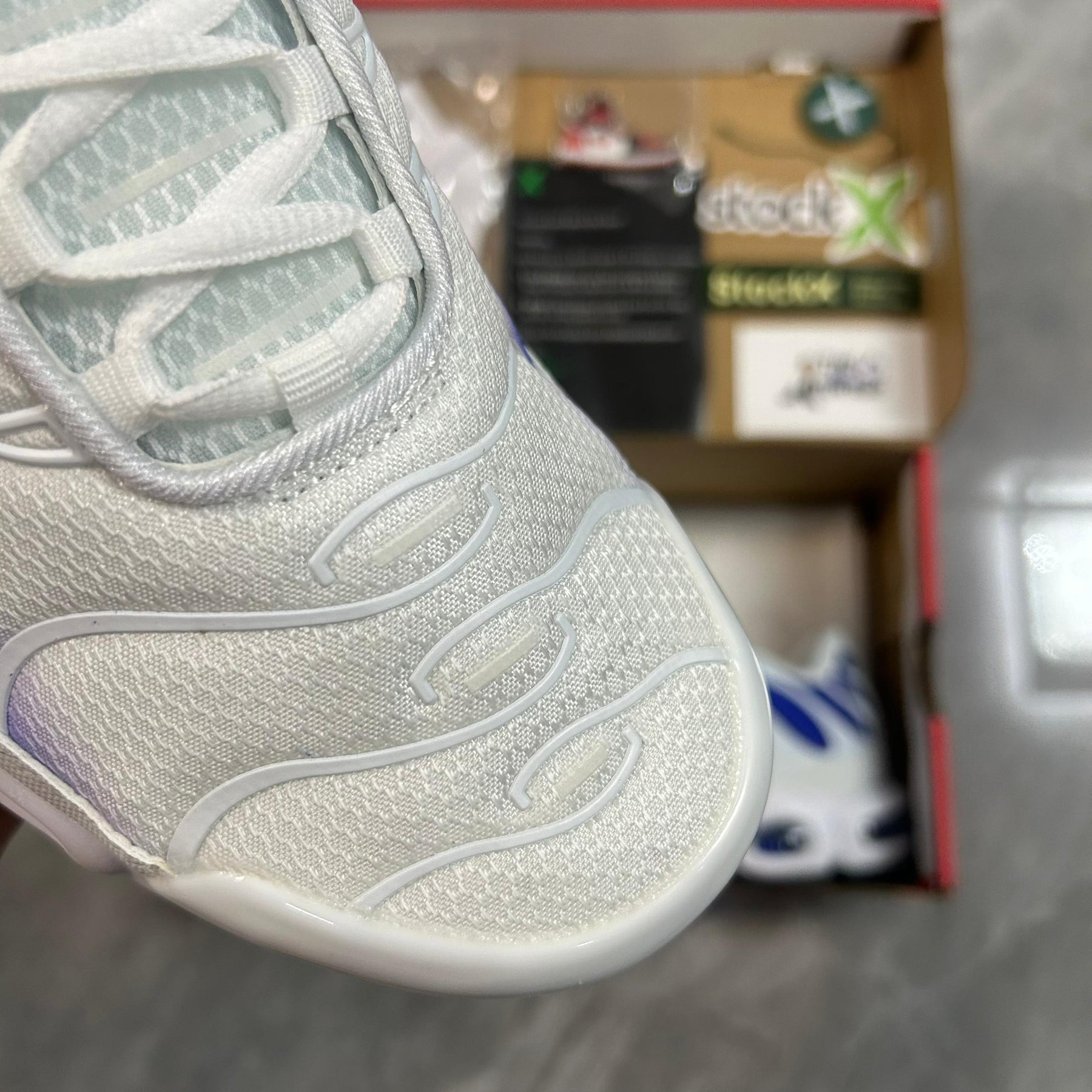 Air Max Plus TN 1 “White Wild Grape”