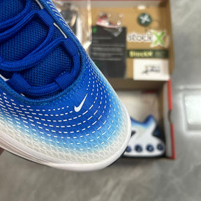 Air Max DN "Navy Blue"