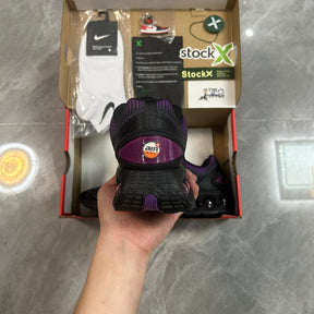 Air Max DN "Bold Berry"