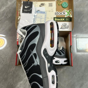 Air Max Plus Tn 1 “Black Silver”